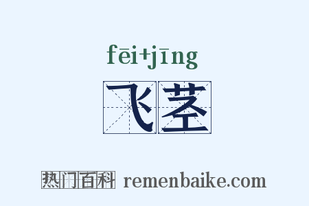 飞茎是什么意思的图片
